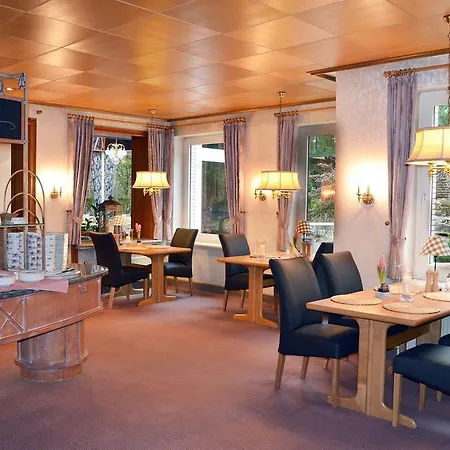 Zum Goldenen Hirsch Hotel 2*