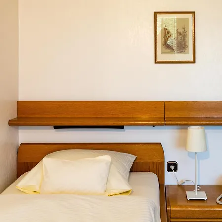 Hotel Zum Goldenen Hirsch 2*