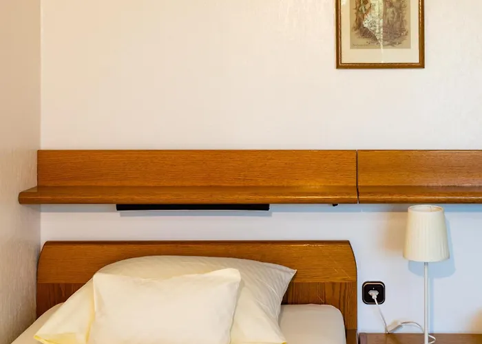 Hotel Zum Goldenen Hirsch 2*