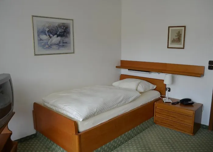 Hotel Zum Goldenen Hirsch 2*